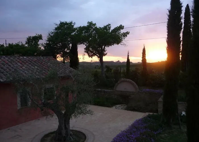Poggio Ai Gelsi